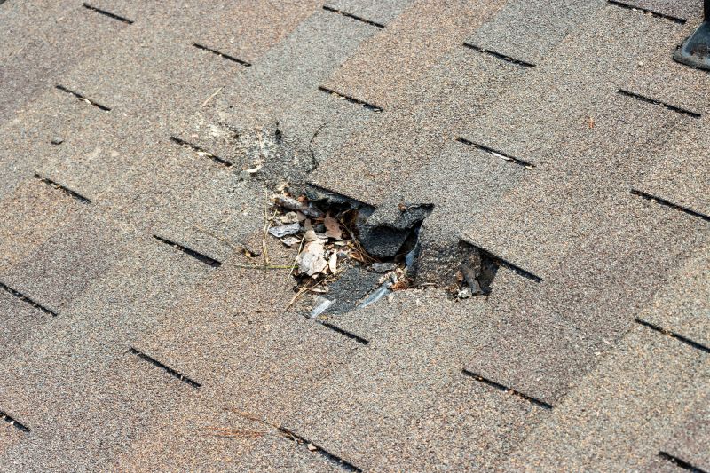 Leaky Roof Replacement in Fredericksburg, VA
