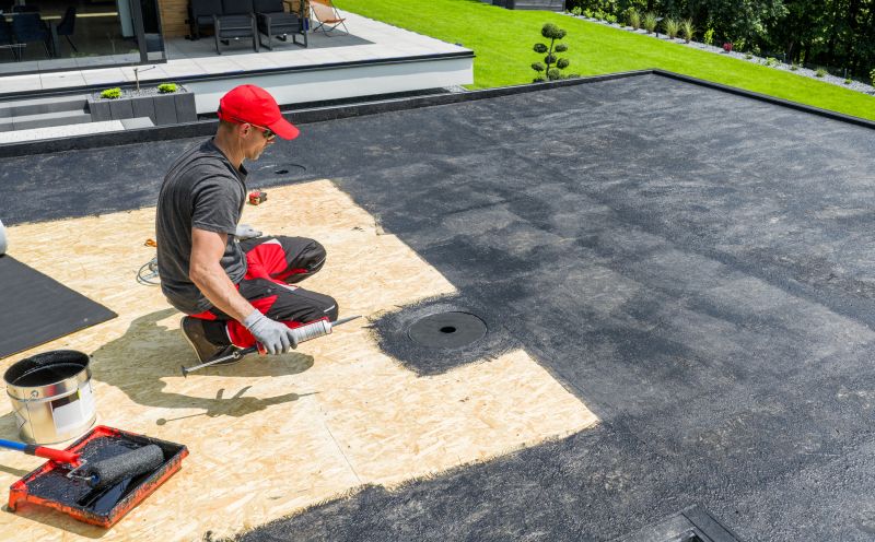 Single Ply Roof Installation in Alexandria, VA